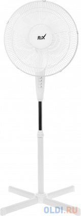    RIX RSF-4000W 40 :3   --