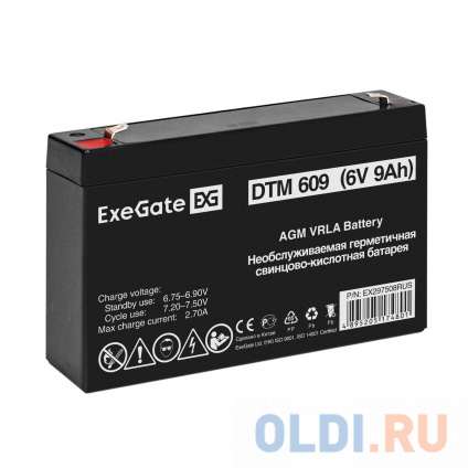    ExeGate DTM 609 (6V 9Ah,  F2)  