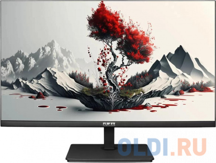   RDW Computers 23.8&quot; RDW2401K  IPS 4ms 16:9 HDMI  300cd 178/178 1920x1080 100Hz VGA DP FHD 4.185 (RUS)  