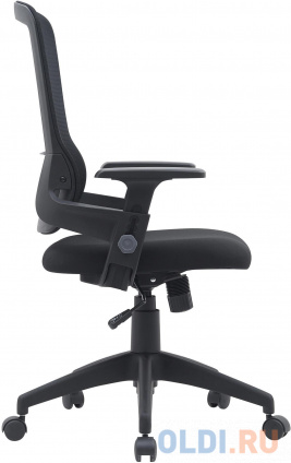   Cactus CS-MC313-BK  / .. .   