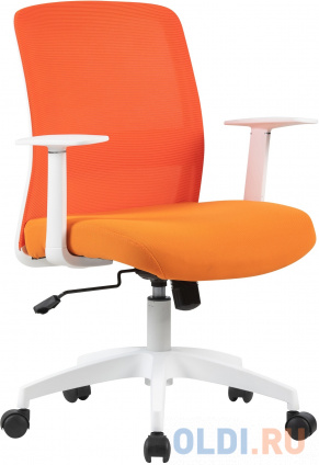   Cactus CS-WMC333-OR    / .. .     