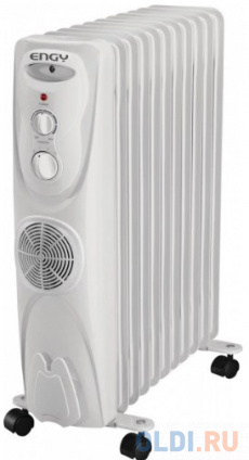   . EN-1311F 11   /. 2,8  (1) &quot;ENGY&quot;  -