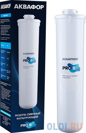    Pro B    (.:1)  