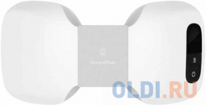    SECRETDATE SD-MSN1   