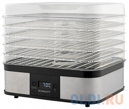       Scarlett SC-FD421T19   