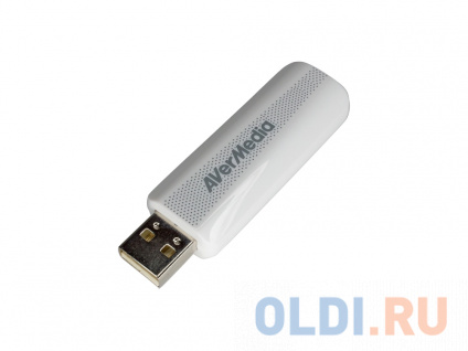      FM AVerMedia TD310 USB   