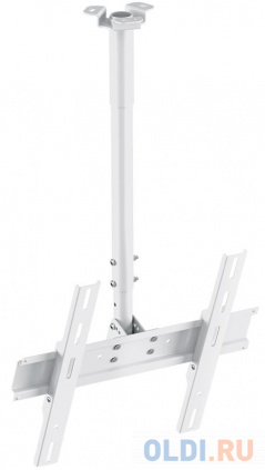   Holder PR-101-W     32-65&quot;   VESA 400x400  60   --