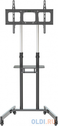     Cactus CS-ST04H  37&quot;-70&quot; .45     