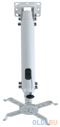    Kromax PROJECTOR-100   , 3  ,  30,   360  