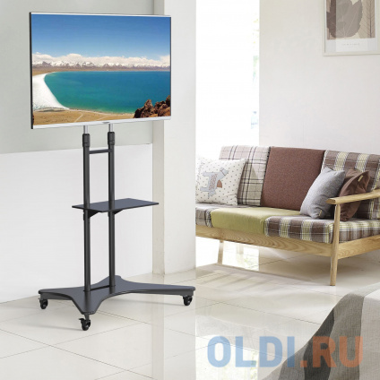     Cactus CS-ST31  37&quot;-75&quot; .81.6    