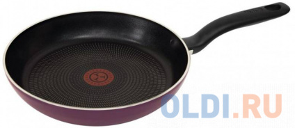   Tefal 9100023411 24    