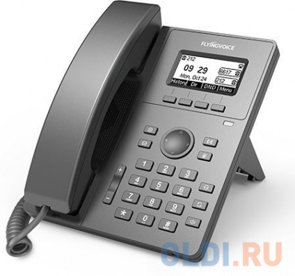   IP Flyingvoice P10G    
