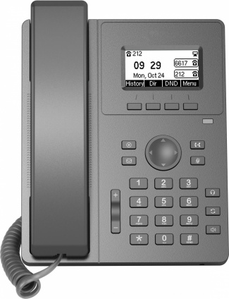   IP Flyingvoice P10W  (.:1)  