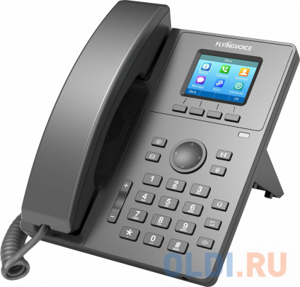   IP Flyingvoice P11P  (.:1)  