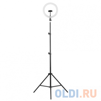  Camelion KD-810F C02 LED(- . 10 ,   , . )  