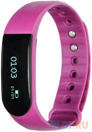 Lime 116HR Purple , ,  , , ,     
