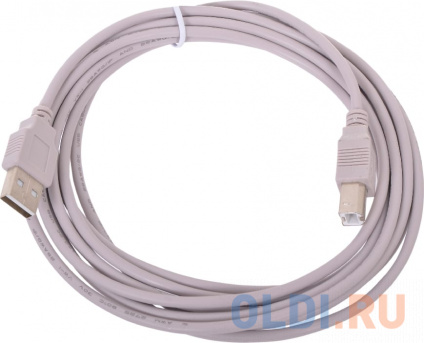   USB 2.0 AM/BM CC-USB2-AMBM-10  