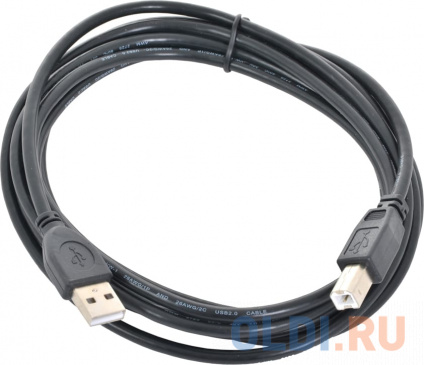   USB 2.0 AM/BM Gembird\Cablexpert CCP-USB2-AMBM-10  