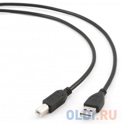  Bion   USB 2.0 AM/BM, 3,  [BXP-CCP-USB2-AMBM-030]  