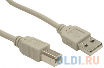  5bites  UC5010-010C USB2.0 / AM-BM / 1M  -