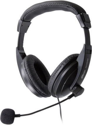     Ritmix RH-524M    