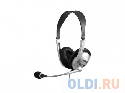 ���� ��������� Ritmix RH-533USB ������ � ������������