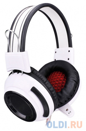   Oklick HS-G300 / 2.5  (AH-V1W)  -