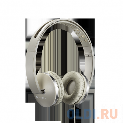   () Canyon CNS-CBTHS2DG Gray  