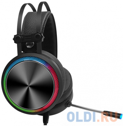      HS-L810G ANONYMOUS  2.2   (SW-HG100)  -