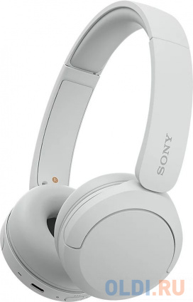   WRL WH-CH520/W SONY  --