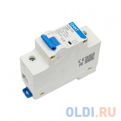  CHINT    1 C 125 10 NXB-125 (R) 816127  -