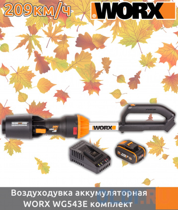  WORX     WG543E  