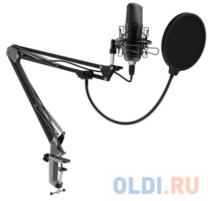  RITMIX RDM-169 Black {: - 42  2 ?, ?1000 ?}  
