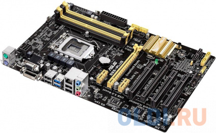    ASUS B85-PLUS Socket 1150 B85 4xDDR3 2xPCI-E 16x 3xPCI 2xPCI-E 1x 2xSATA II 4xSATAIII ATX Retail   (:    )  