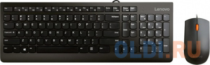   (, ) Lenovo 300 USB Combo (GX30M39635)  -