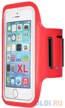    ()    6.5  DF SportCase-02 (red)  