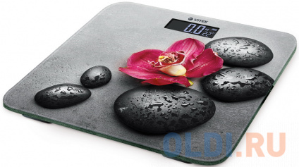 ���� ����� ��������� Vitek 8084-VT(MC) ������� � �������-��-����