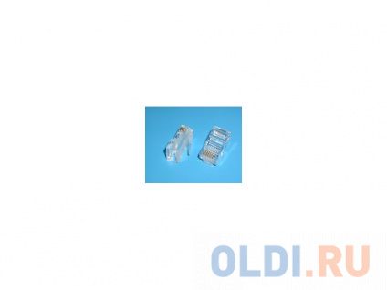   RJ-45 .5 Buro TL-CAT-001 100 817286  