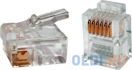    RJ-12 6P6C 100  -