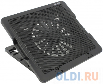      Zalman ZM-NS1000  -