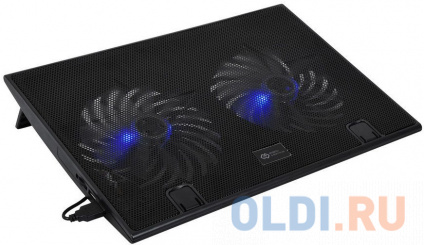     Digma D-NCP170-2H 17&quot;290x270x25 2xUSB 2x 160FAN 700   --