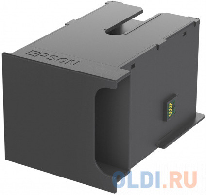       Epson C13T671100  