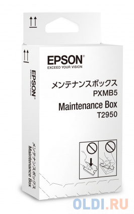       Epson C13T295000  WF-100W   