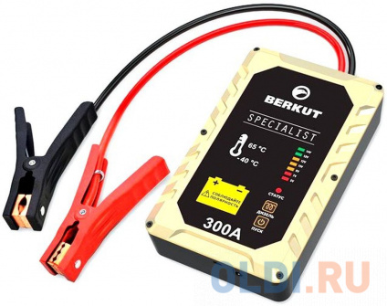      Berkut JSC300ѻ  --