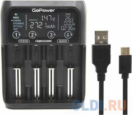    GoPower Genius2000 AA/AAA  