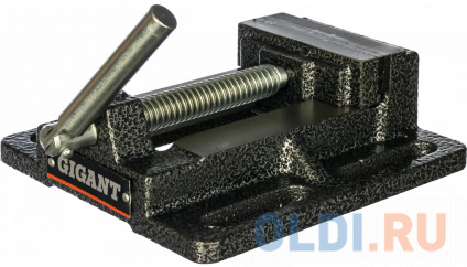 Gigant   DV 100  -