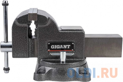  Gigant Professional    125  GP-BV-125  --
