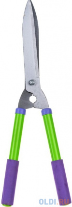   PALISAD 60562 50  10     -