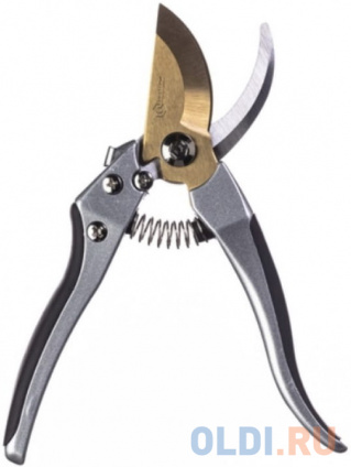     TITANIUM 1381  