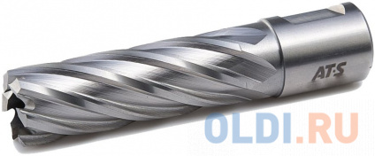  AT-S   HSS, L=50 , d=20  BS5020  